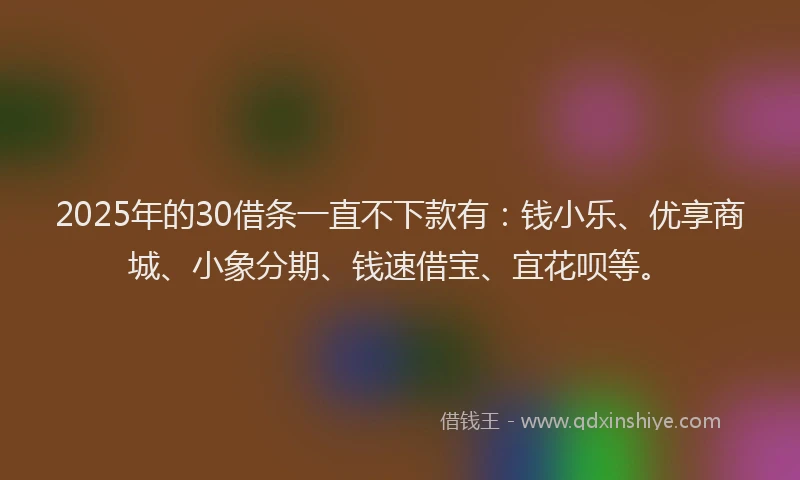 2025年的30借条一直不下款有：钱小乐、优享商城、小象分期、钱速借宝、宜花呗等。
