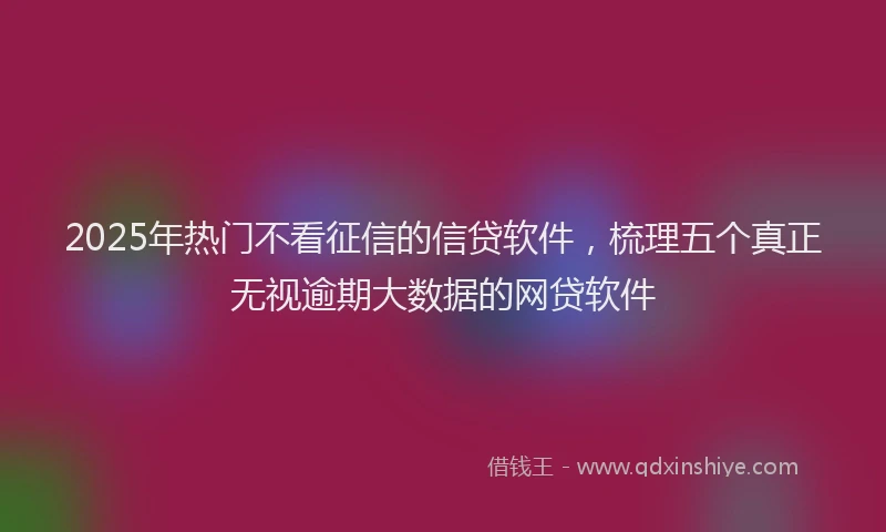 2025年热门不看征信的信贷软件，梳理五个真正无视逾期大数据的网贷软件