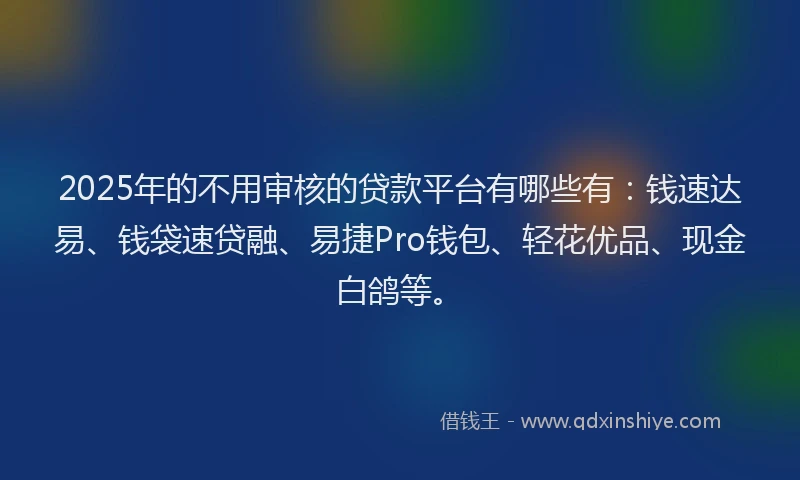 2025年的不用审核的贷款平台有哪些有：钱速达易、钱袋速贷融、易捷Pro钱包、轻花优品、现金白鸽等。