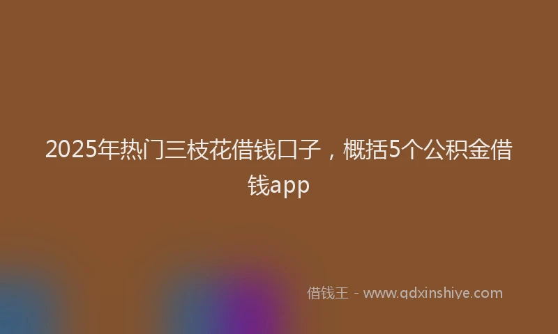 2025年热门三枝花借钱口子，概括5个公积金借钱app