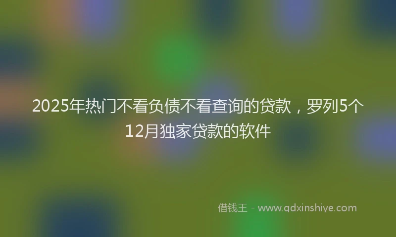 2025年热门不看负债不看查询的贷款，罗列5个12月独家贷款的软件