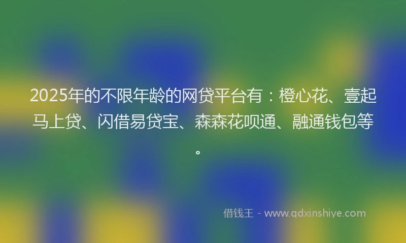 2025年的不限年龄的网贷平台有：橙心花、壹起马上贷、闪借易贷宝、森森花呗通、融通钱包等。
