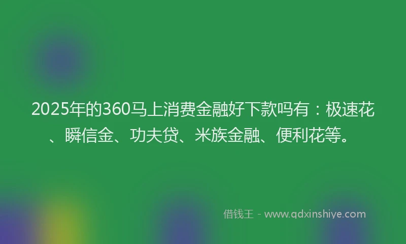 2025年的360马上消费金融好下款吗有：极速花、瞬信金、功夫贷、米族金融、便利花等。