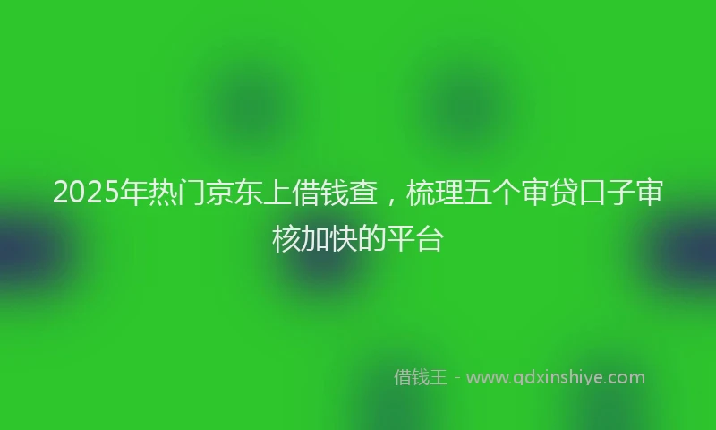 2025年热门京东上借钱查，梳理五个审贷口子审核加快的平台