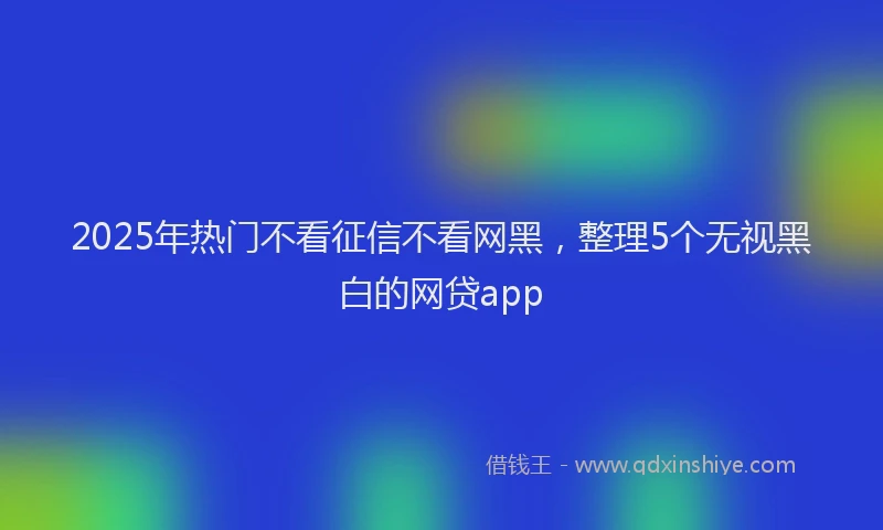 2025年热门不看征信不看网黑，整理5个无视黑白的网贷app