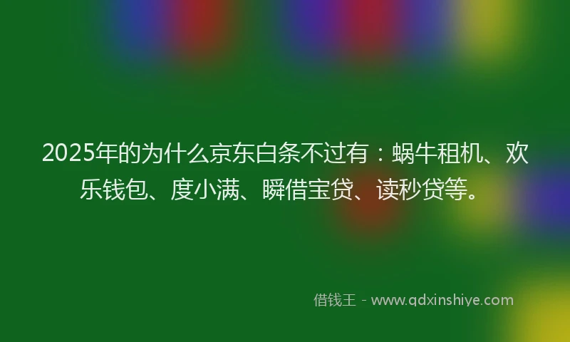 2025年的为什么京东白条不过有：蜗牛租机、欢乐钱包、度小满、瞬借宝贷、读秒贷等。