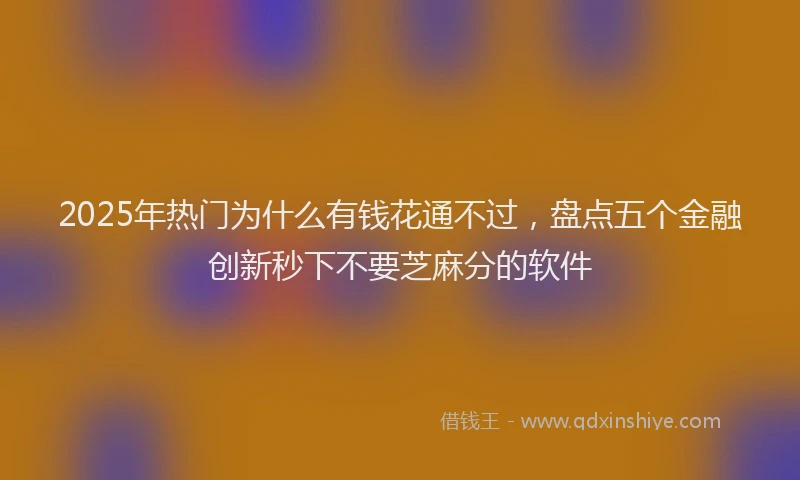 2025年热门为什么有钱花通不过，盘点五个金融创新秒下不要芝麻分的软件
