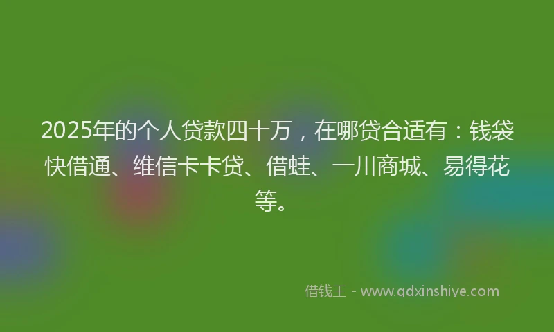 2025年的个人贷款四十万，在哪贷合适有：钱袋快借通、维信卡卡贷、借蛙、一川商城、易得花等。