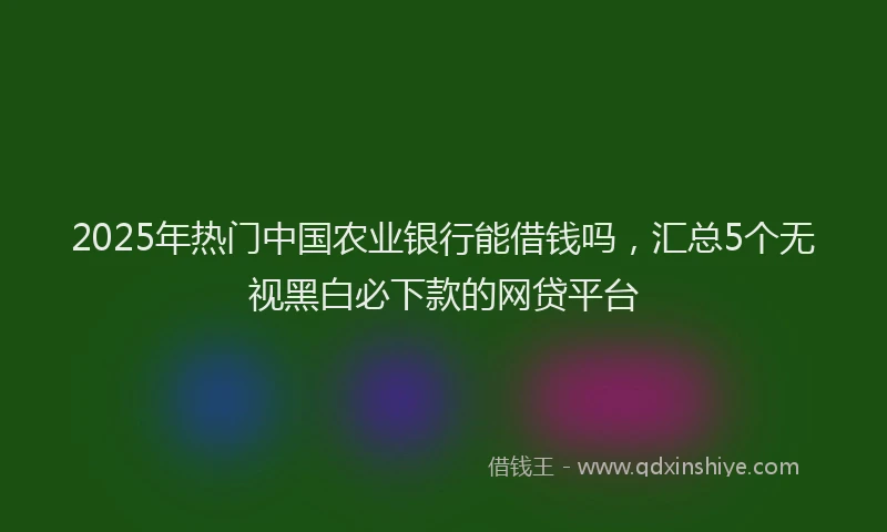 2025年热门中国农业银行能借钱吗，汇总5个无视黑白必下款的网贷平台