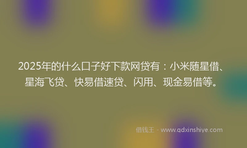 2025年的什么口子好下款网贷有：小米随星借、星海飞贷、快易借速贷、闪用、现金易借等。