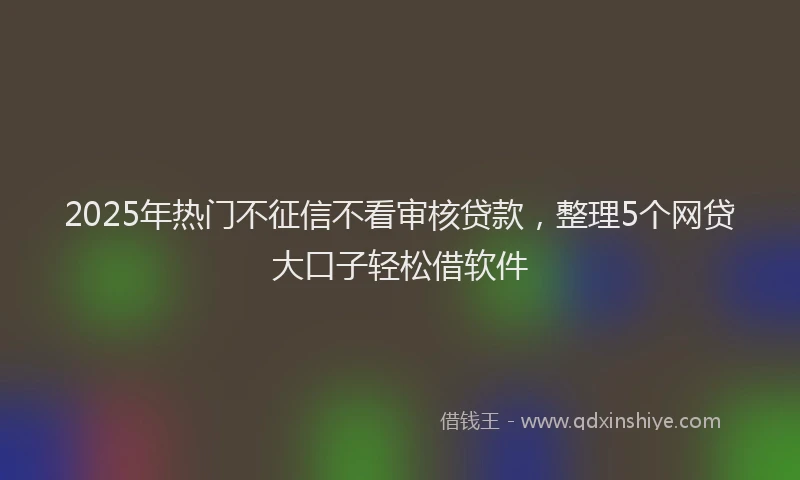 2025年热门不征信不看审核贷款，整理5个网贷大口子轻松借软件