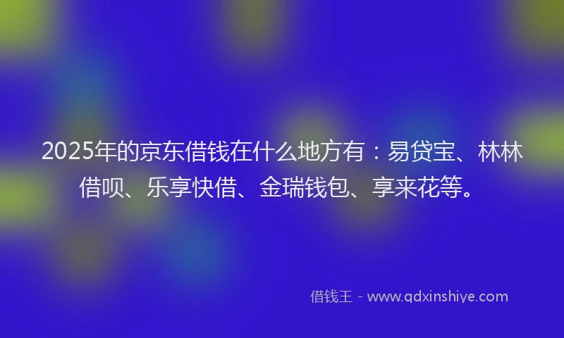 2025年的京东借钱在什么地方有：易贷宝、林林借呗、乐享快借、金瑞钱包、享来花等。