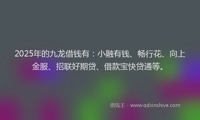 2025年的九龙借钱有：小融有钱、畅行花、向上金服、招联好期贷、借款宝快贷通等。
