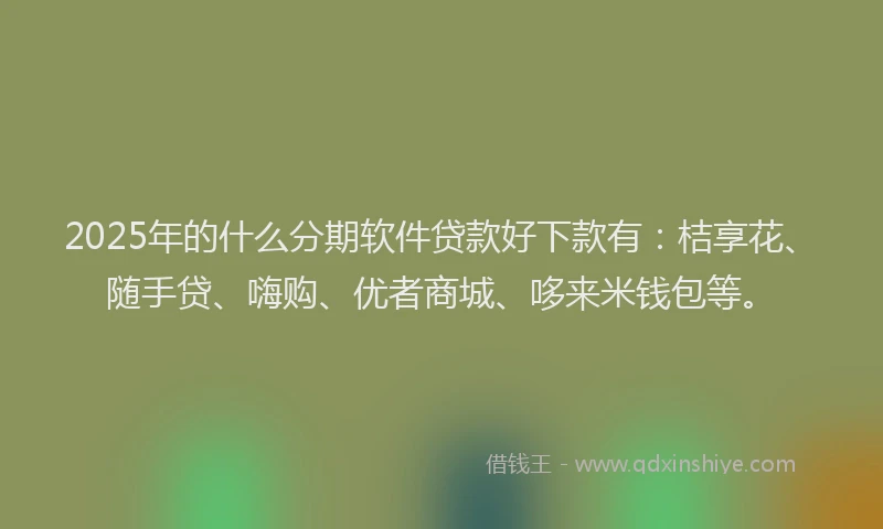 2025年的什么分期软件贷款好下款有：桔享花、随手贷、嗨购、优者商城、哆来米钱包等。