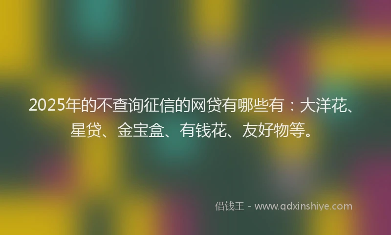 2025年的不查询征信的网贷有哪些有：大洋花、星贷、金宝盒、有钱花、友好物等。
