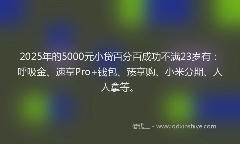 2025年的5000元小贷百分百成功不满23岁有：呼吸金、速享Pro+钱包、臻享购、小米分期、人人拿等。