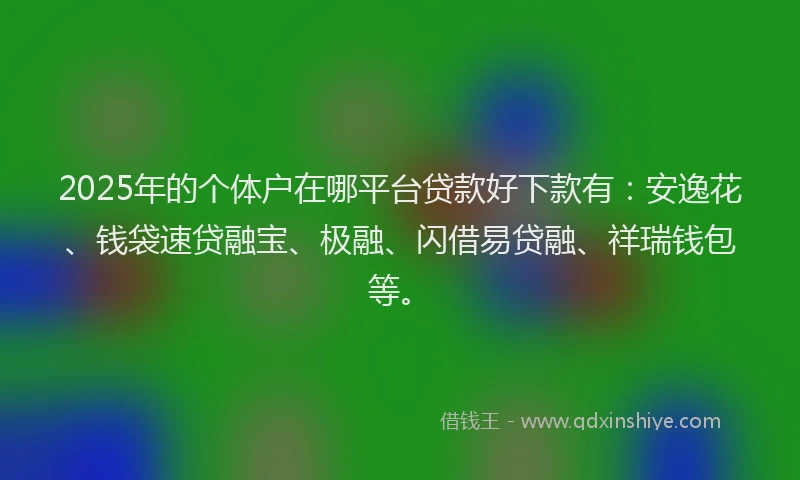 2025年的个体户在哪平台贷款好下款有：安逸花、钱袋速贷融宝、极融、闪借易贷融、祥瑞钱包等。