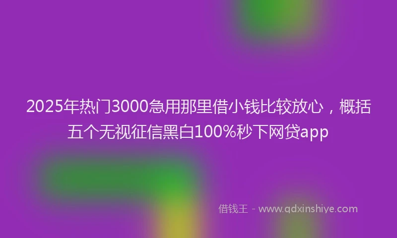 2025年热门3000急用那里借小钱比较放心，概括五个无视征信黑白100%秒下网贷app