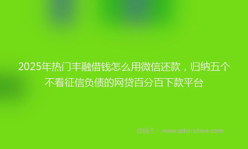 2025年热门丰融借钱怎么用微信还款，归纳五个不看征信负债的网贷百分百下款平台