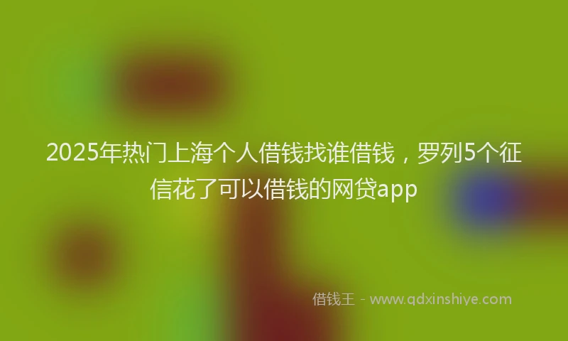2025年热门上海个人借钱找谁借钱，罗列5个征信花了可以借钱的网贷app