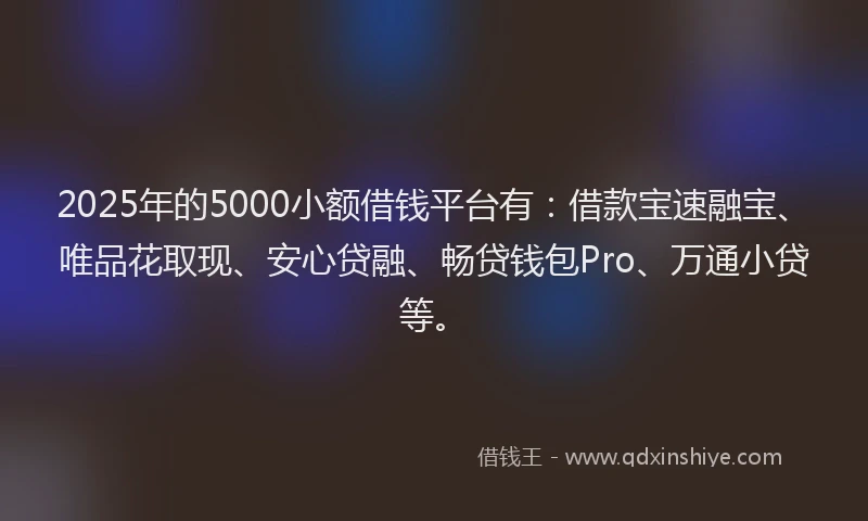 2025年的5000小额借钱平台有：借款宝速融宝、唯品花取现、安心贷融、畅贷钱包Pro、万通小贷等。