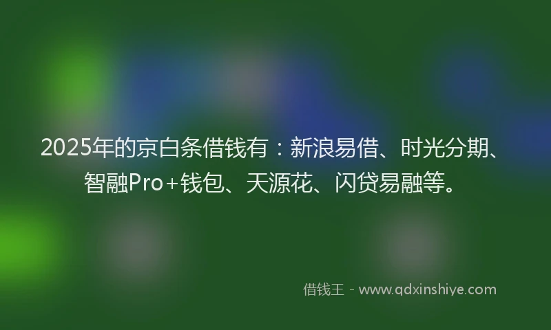 2025年的京白条借钱有：新浪易借、时光分期、智融Pro+钱包、天源花、闪贷易融等。