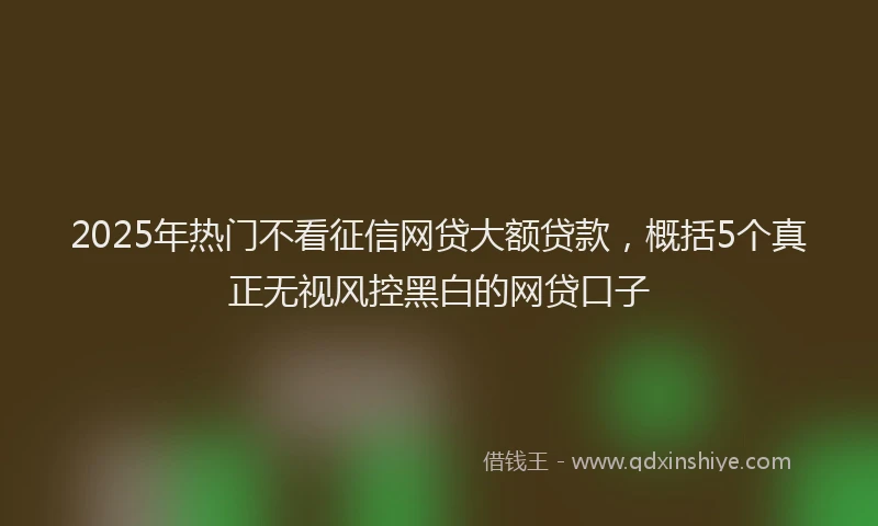 2025年热门不看征信网贷大额贷款，概括5个真正无视风控黑白的网贷口子