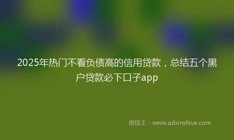 2025年热门不看负债高的信用贷款，总结五个黑户贷款必下口子app