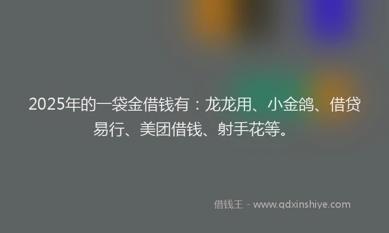 2025年的一袋金借钱有：龙龙用、小金鸽、借贷易行、美团借钱、射手花等。