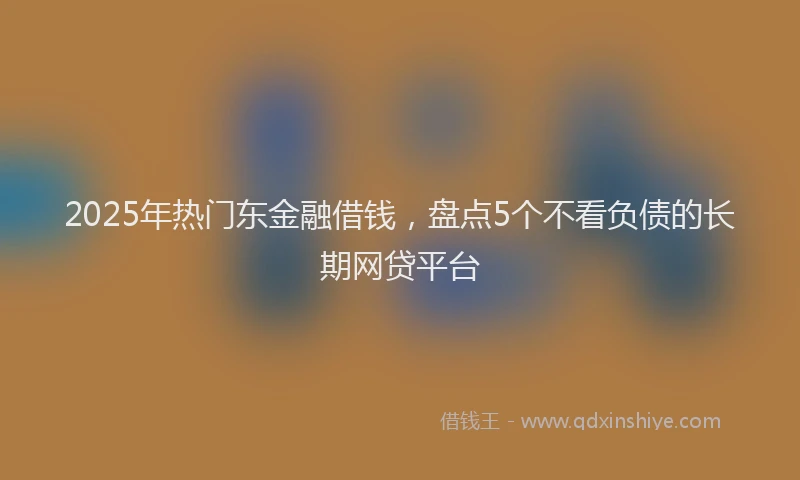 2025年热门东金融借钱，盘点5个不看负债的长期网贷平台