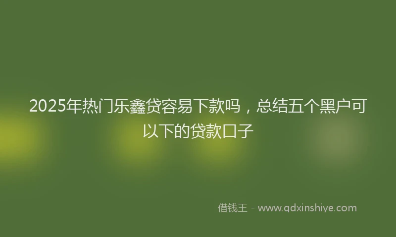 2025年热门乐鑫贷容易下款吗，总结五个黑户可以下的贷款口子