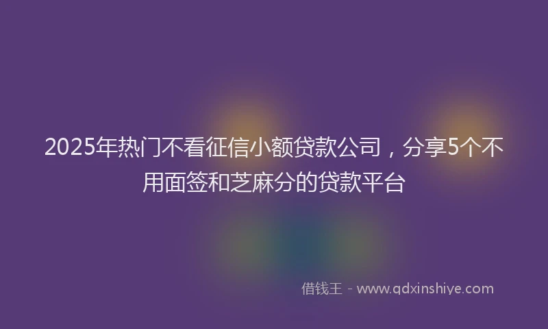 2025年热门不看征信小额贷款公司，分享5个不用面签和芝麻分的贷款平台