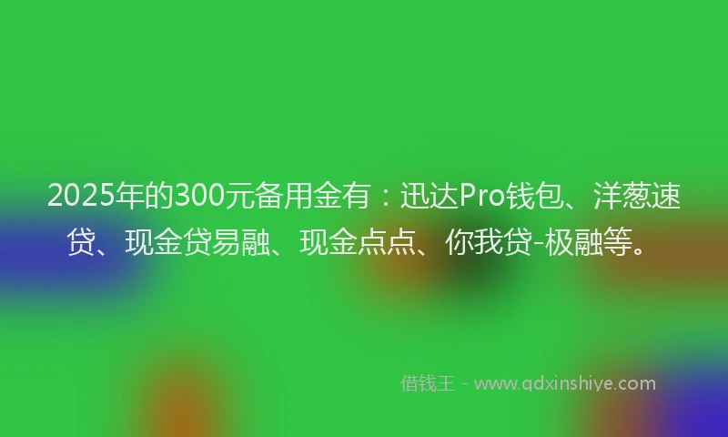 2025年的300元备用金有：迅达Pro钱包、洋葱速贷、现金贷易融、现金点点、你我贷-极融等。