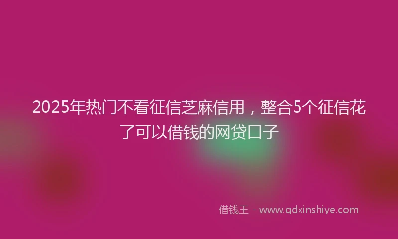 2025年热门不看征信芝麻信用，整合5个征信花了可以借钱的网贷口子