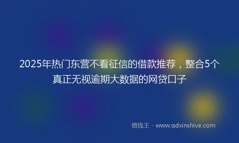 2025年热门东营不看征信的借款推荐，整合5个真正无视逾期大数据的网贷口子