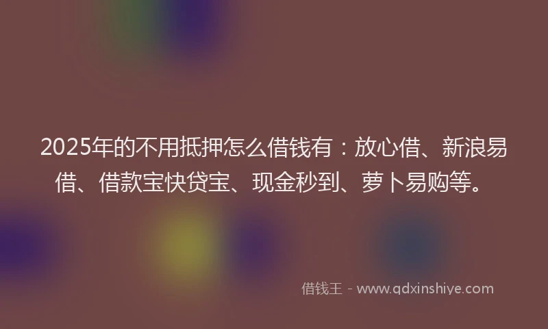 2025年的不用抵押怎么借钱有：放心借、新浪易借、借款宝快贷宝、现金秒到、萝卜易购等。