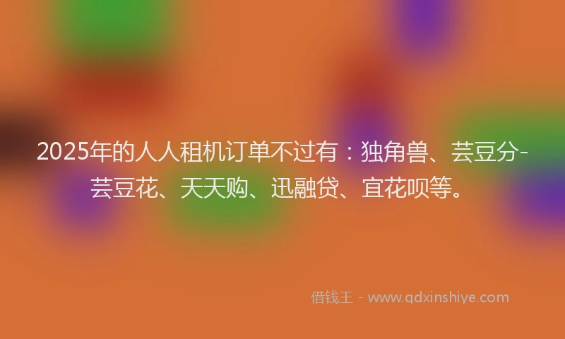 2025年的人人租机订单不过有：独角兽、芸豆分-芸豆花、天天购、迅融贷、宜花呗等。