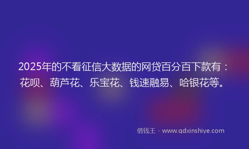 2025年的不看征信大数据的网贷百分百下款有：花呗、葫芦花、乐宝花、钱速融易、哈银花等。