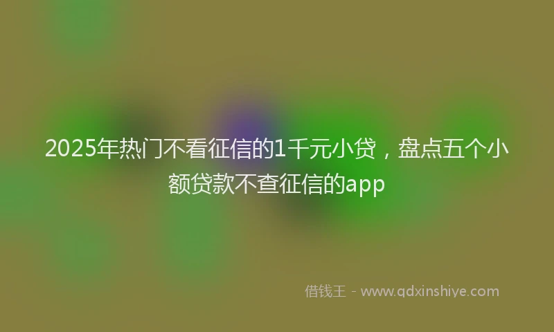 2025年热门不看征信的1千元小贷，盘点五个小额贷款不查征信的app