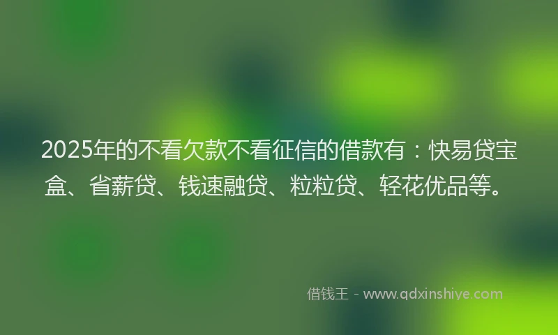2025年的不看欠款不看征信的借款有：快易贷宝盒、省薪贷、钱速融贷、粒粒贷、轻花优品等。