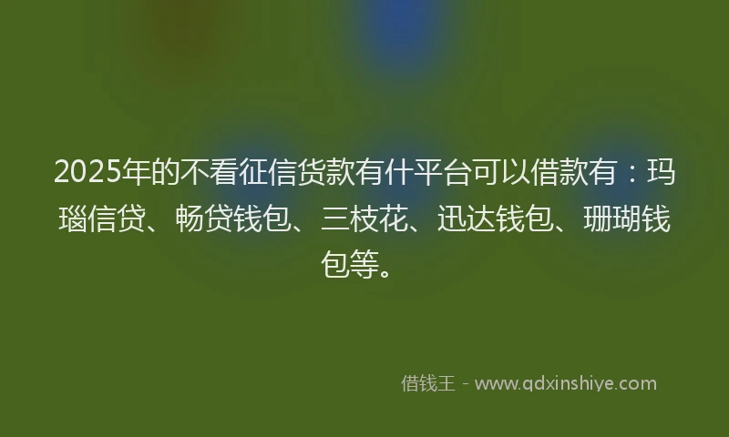 2025年的不看征信货款有什平台可以借款有：玛瑙信贷、畅贷钱包、三枝花、迅达钱包、珊瑚钱包等。