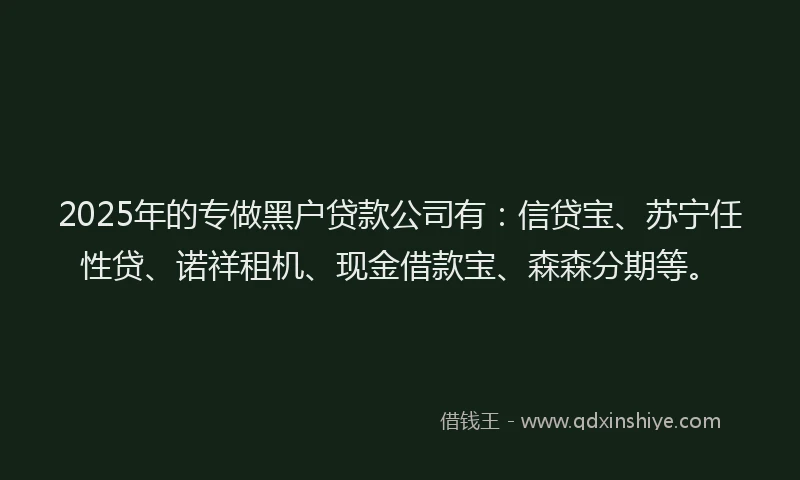 2025年的专做黑户贷款公司有：信贷宝、苏宁任性贷、诺祥租机、现金借款宝、森森分期等。