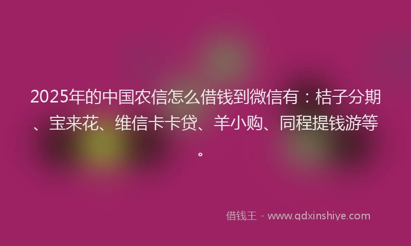 2025年的中国农信怎么借钱到微信有：桔子分期、宝来花、维信卡卡贷、羊小购、同程提钱游等。