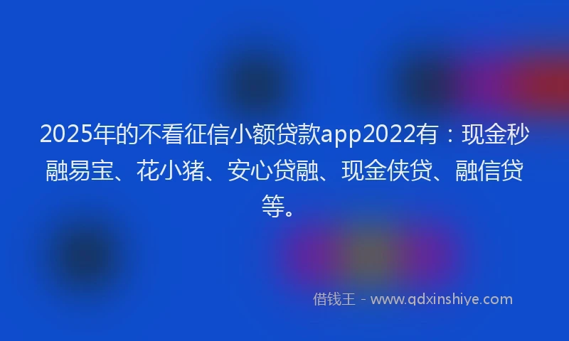 2025年的不看征信小额贷款app2022有：现金秒融易宝、花小猪、安心贷融、现金侠贷、融信贷等。