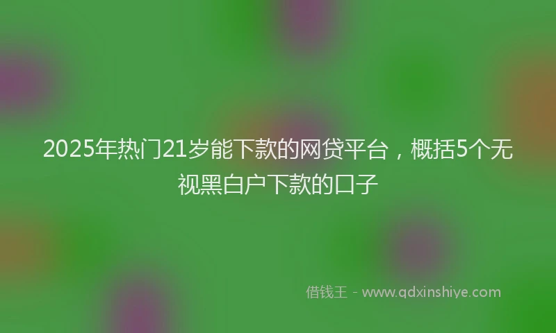 2025年热门21岁能下款的网贷平台，概括5个无视黑白户下款的口子