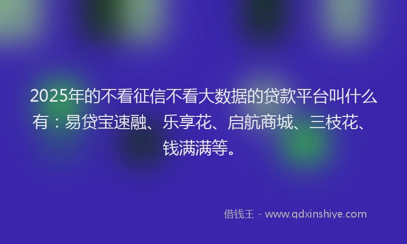 2025年的不看征信不看大数据的贷款平台叫什么有：易贷宝速融、乐享花、启航商城、三枝花、钱满满等。