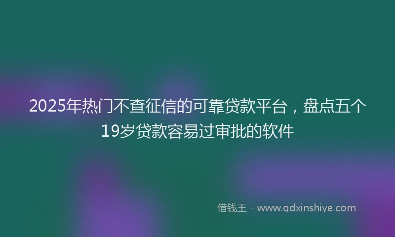2025年热门不查征信的可靠贷款平台，盘点五个19岁贷款容易过审批的软件