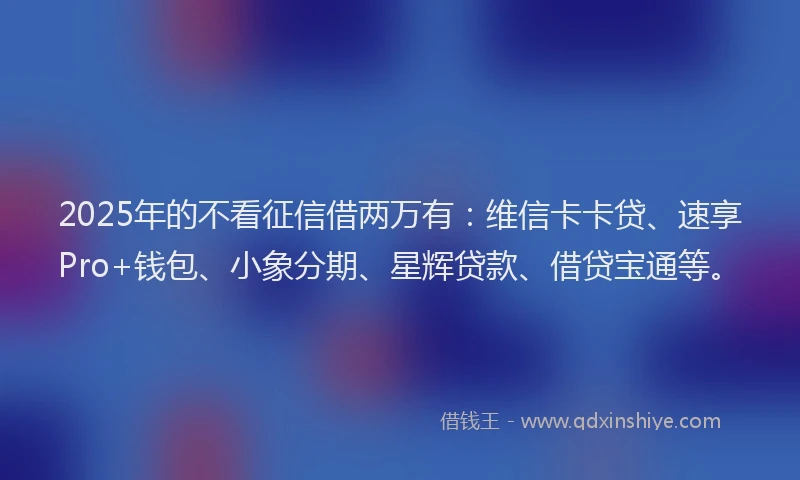 2025年的不看征信借两万有：维信卡卡贷、速享Pro+钱包、小象分期、星辉贷款、借贷宝通等。