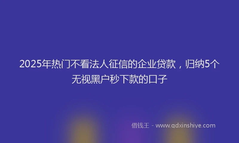 2025年热门不看法人征信的企业贷款，归纳5个无视黑户秒下款的口子