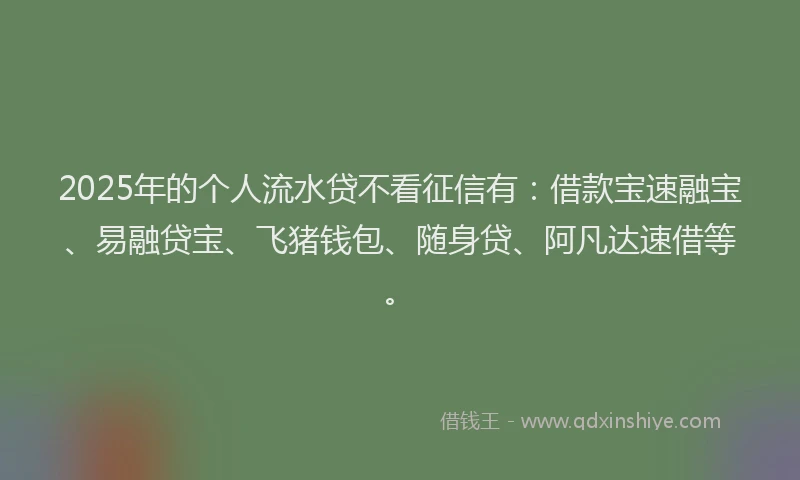 2025年的个人流水贷不看征信有：借款宝速融宝、易融贷宝、飞猪钱包、随身贷、阿凡达速借等。